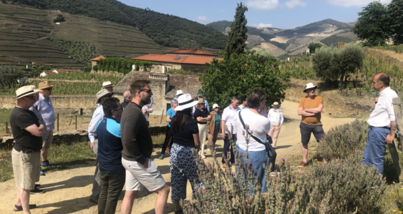 Curriers' Port tasting tour