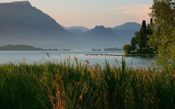 Landscape 02
