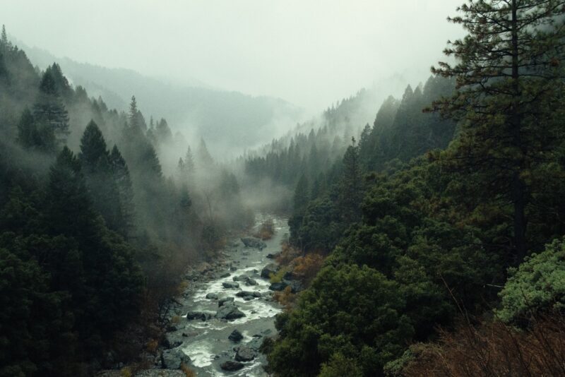 Landscape 01